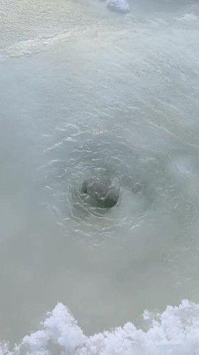 ��������� ��������. � ������ ����������, ���������� ������ "�����" ��������� �����