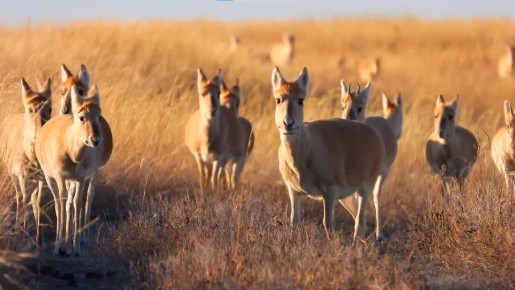 ������� ����� ���������� � ����������