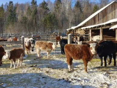 ������������ ��������� ��������� � ���������� ���������� �� 30%