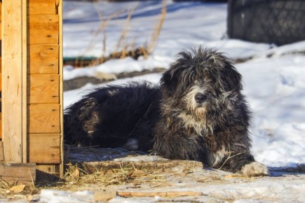 ������ ����, ����������� � ����� �������! ������� 12 ������ � �����������