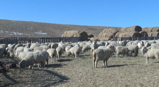 ����������� ����������� ������ ��������� �����. ���������� (�����)� � 2026 ���� ��������� ������ ����� ��� ����� ����