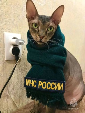 ������������ ��������� � ����� ���������������� ��� ������� �������