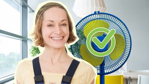 ��� ������ ���������� �� ���� ������ �������: ���� ��������� �� ��������