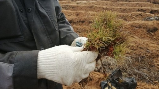 ������ �������� ���������� ������ �������� ���� �������� ����� �� ������