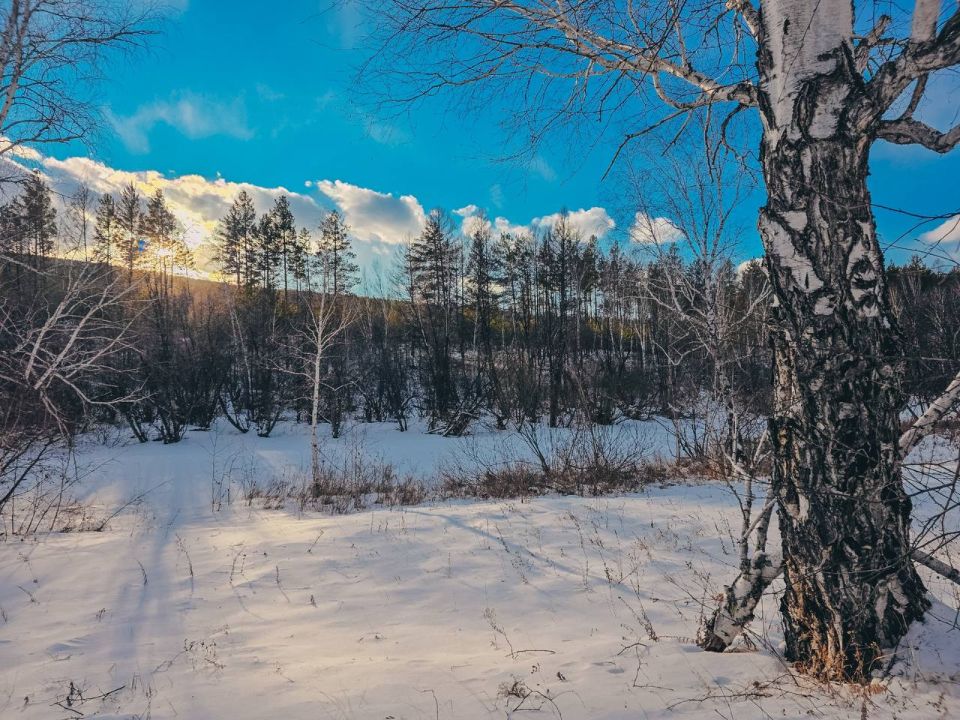 ������ ����, �����������!. ����� ���� ���� ���������� ��������� ��������� � �������� ���� ���������� ������ @zabrtk | �� � MAX