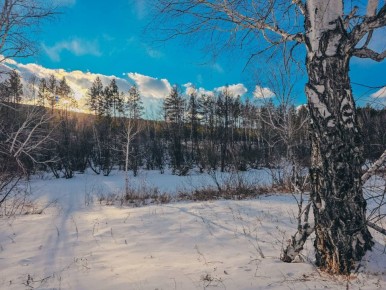 ������ ����, �����������!. ����� ���� ���� ���������� ��������� ��������� � �������� ���� ���������� ������ @zabrtk | �� � MAX