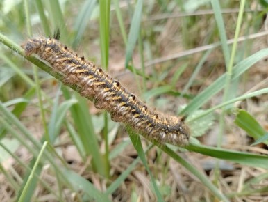 ���������� ����: ��� ������� ����������� � ��������������� ����