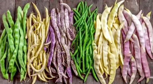 ��������� �� ����: ��� ������� ���������� ������ � ������� � ������