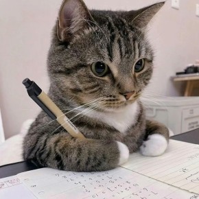 ����������� �� ������ ���������� ��������� �� ����� ����� � 2026 ����