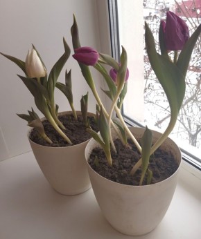 �������� � ������ ����: ��� �������� �������� � ������ �����