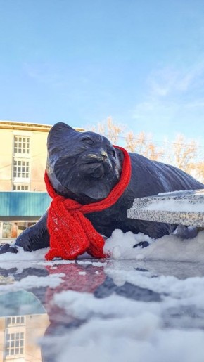 ����� �� ��������!. �������� ������ � ������ � �������������� ��������, ������� �� ������� �����