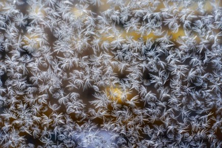 ������ ����, ����������! �� ��������� 17 ������, �������