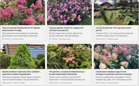 ������� �����: ����� �������� � � ������������� ���� ��� ������� ������