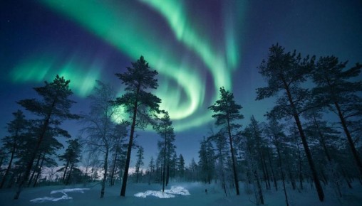 #* �������� ���������� �������� �� �������� � ����� ����