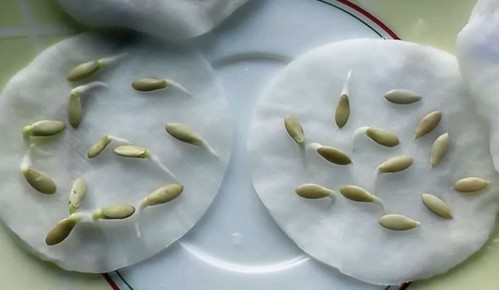 ������� �������� �����: ��� ��������� �� ��������� ������, ��� ������� �� ��������