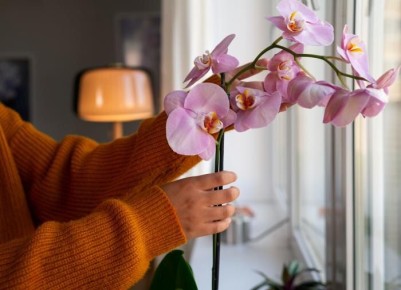 �������� �������: ��������� � �������� ������� ���