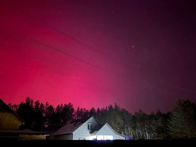 ������ ��������. �������� ������ ��������� ������� ������ ������� ��������