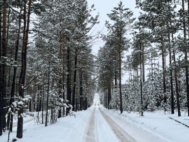 ������ ����, ���� � �������!