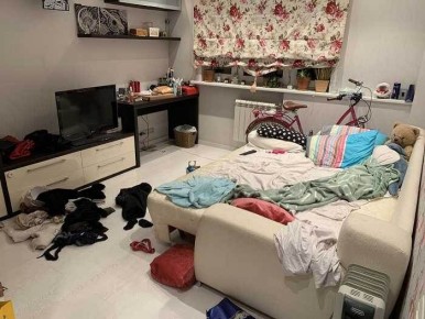 ��� �������� ���������� � ����: ����������� ��������� �� ������ ����