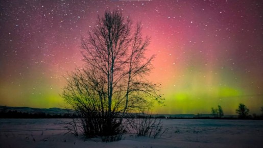 1234. �������� ������ ������� � ����������