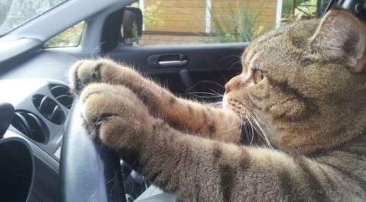 ������� �������� � ���������� ��������� � 1 ����� 2026 ����