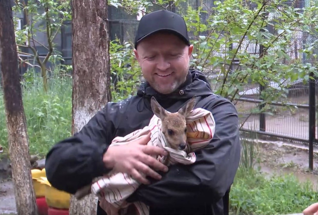 Гражданский форум: мысли вслух