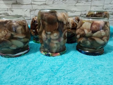 ��������� ����������� ������: ������ �� ���������� ������������ �����