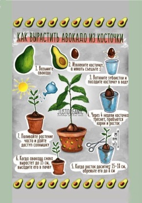 �������: ��� ����� ������� ��������� �����������