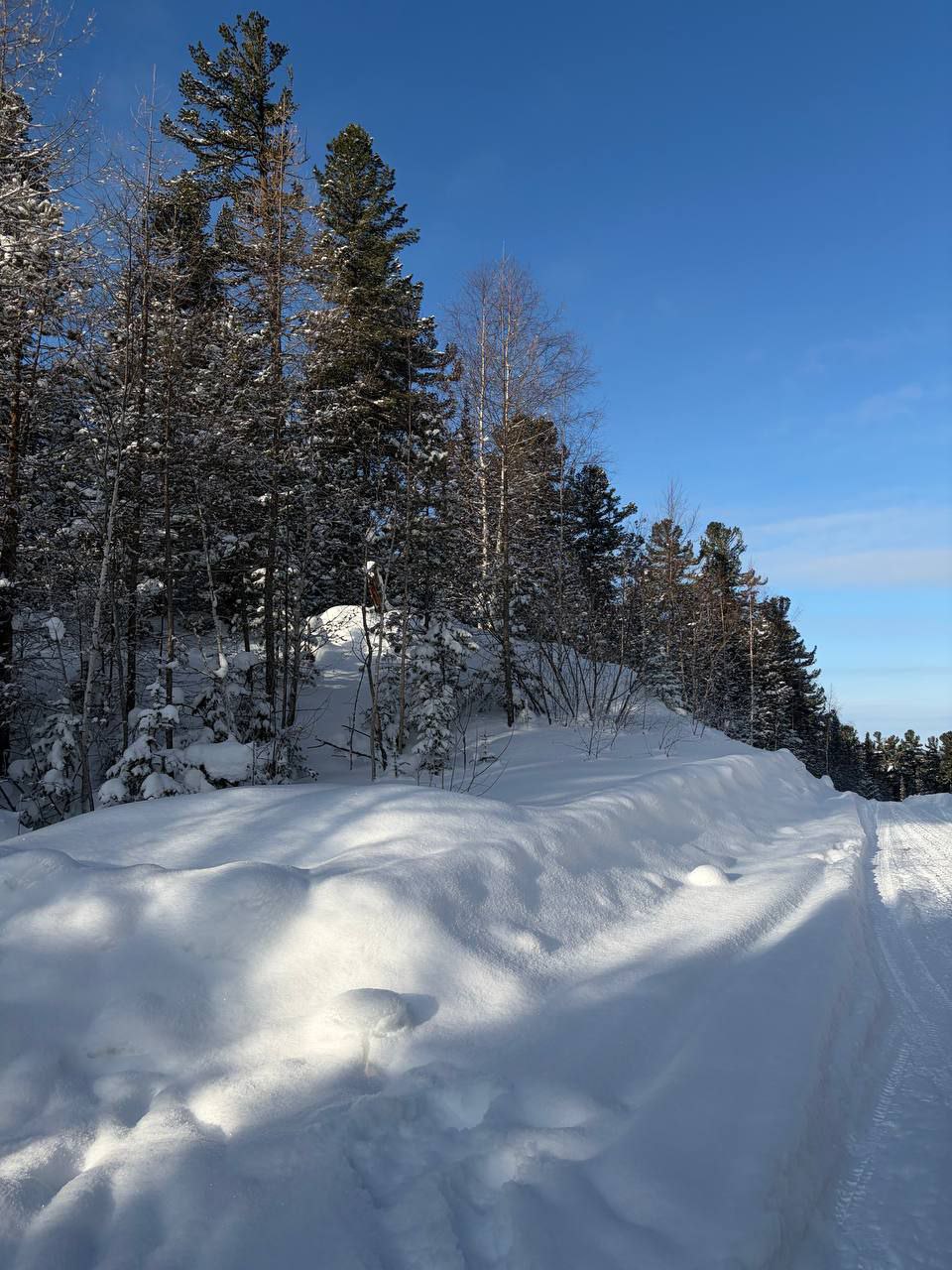 Доброе утро, Забайкалье! Сегодня – пятница, 23 января Доброе утро, Забайкалье! Сегодня – пятница, 23 января