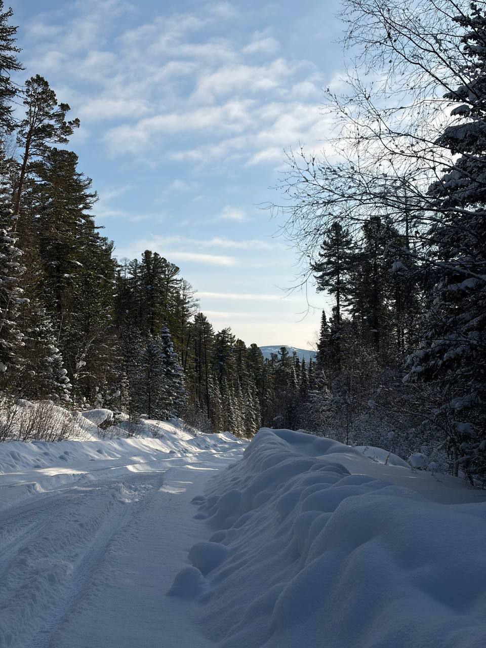 Доброе утро, Забайкалье! Сегодня – пятница, 23 января Доброе утро, Забайкалье! Сегодня – пятница, 23 января