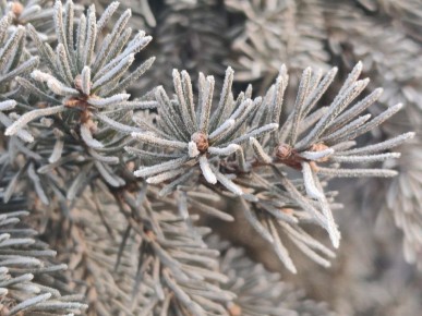 ������ ����, �����������! ������� 24 ������, �������