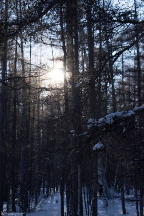 ������ ����, �����������. ������ ��� ����������� ��������� � ������ ���������