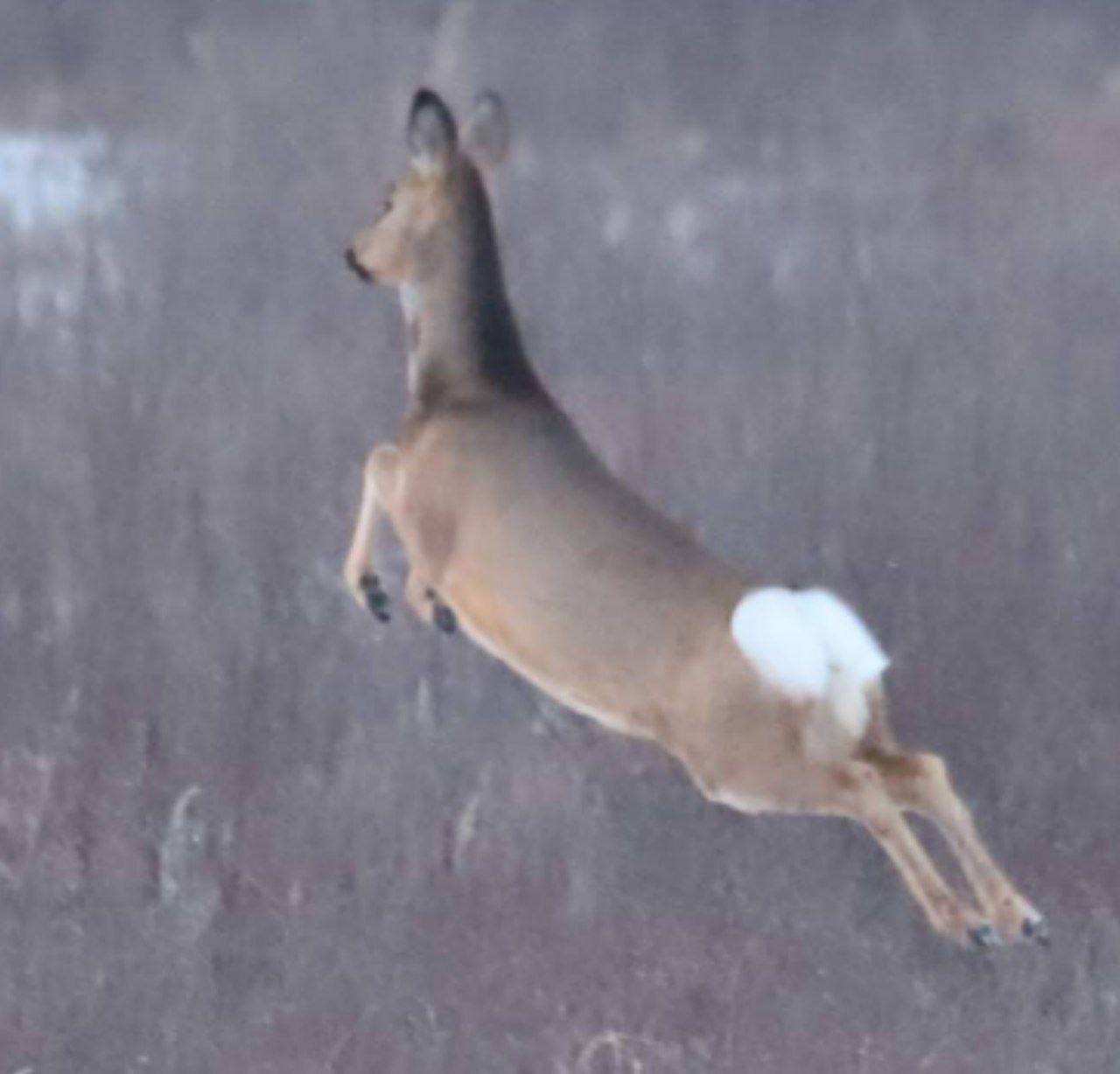 «Я свободен словно птица в небесах»