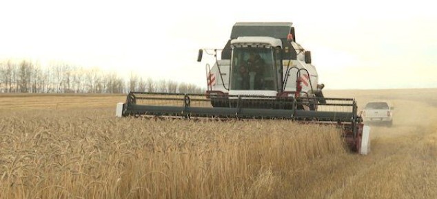 ���������� ���������� ������������ 177 ��������� ������ �� ������������� � ������� ���� ��������������