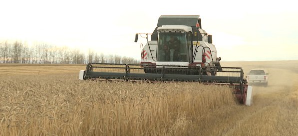 Хозяйствам Забайкалья компенсируют 177 миллионов рублей за приобретенную в прошлом году сельхозтехнику