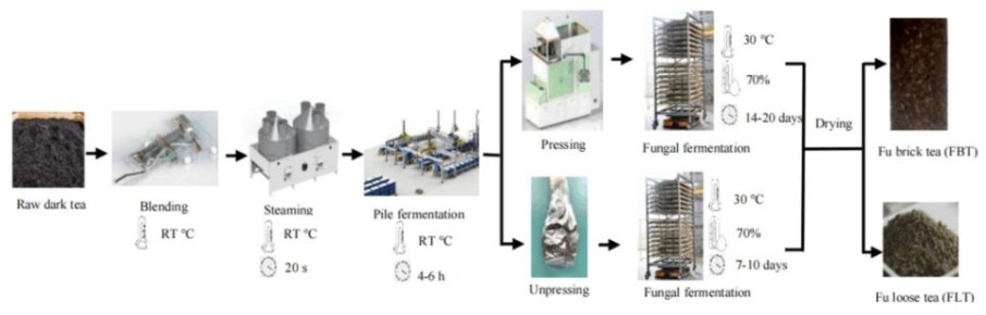 ��������� �� ������ ������ �������������: ��� ����� ������ �� �����������