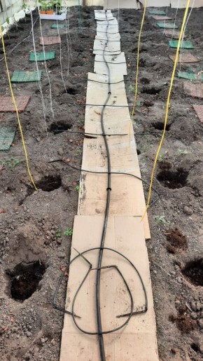 ��� ��������� ����� � ������� ���� ������� � ����������� ���������