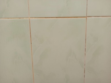 ��� ������� ��� ����� ������� ��� �����: ������� ������ ������ ������