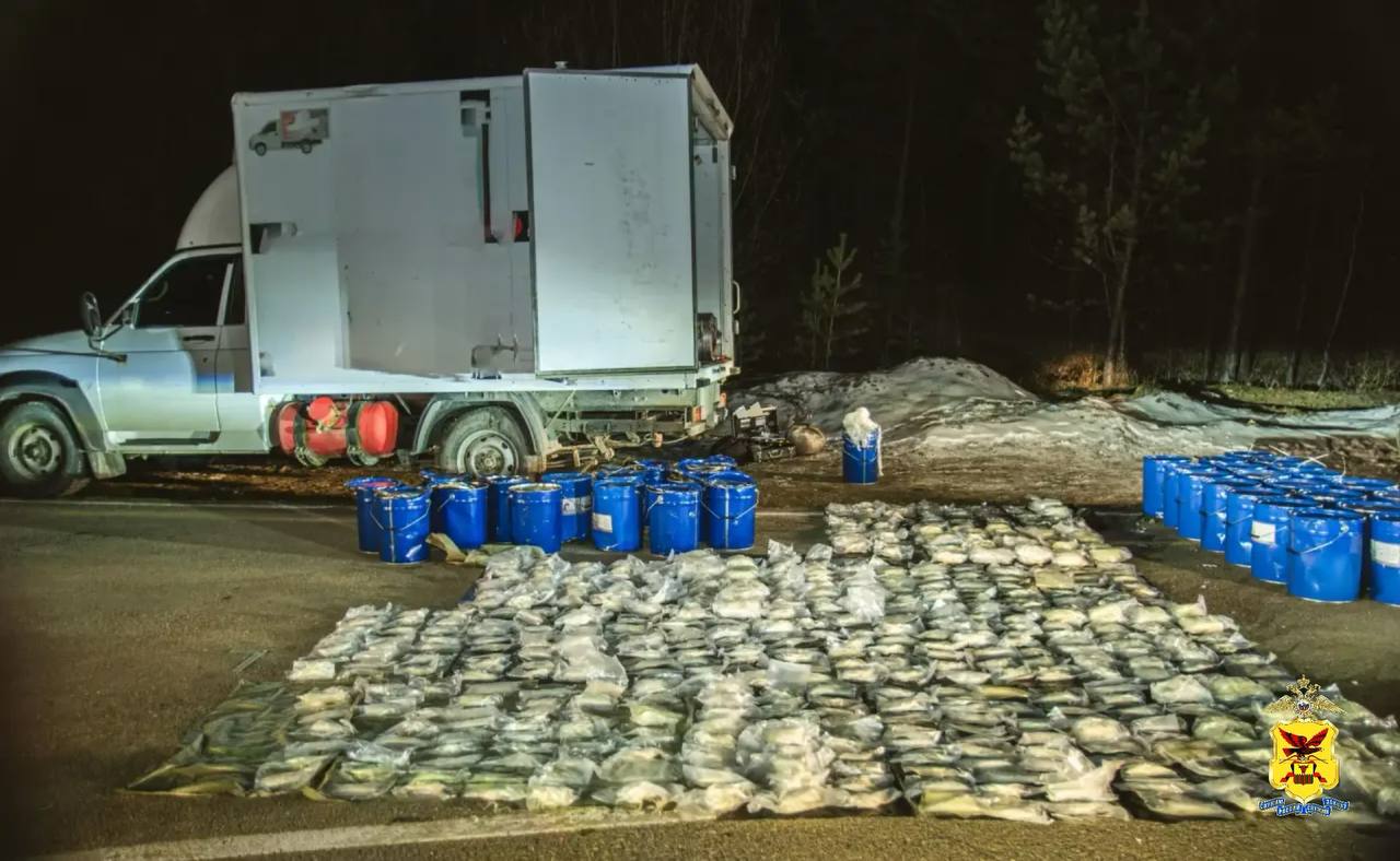 Почти 300 килограммов наркозелья не дошло до потребителей: за 2025 год сотрудники полиции пресекли свыше полутора тысяч преступлений, связанных с незаконным оборотом наркотиков