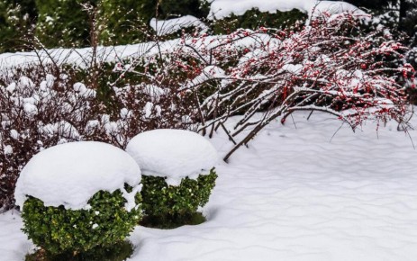 ����������� ������ �� �������: �������� ���� ���������� � �������� ������