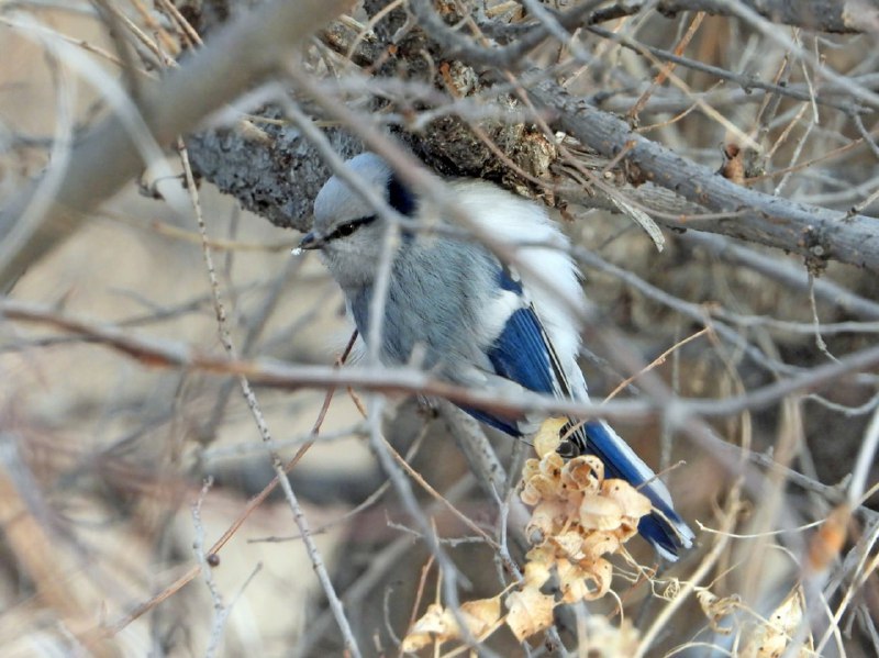 Доброе утро, Забайкалье! Сегодня – четверг, 29 января