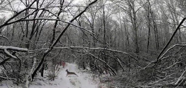 � ���������� ����������� ����� ����� �� ������� � ������ ��������� �����