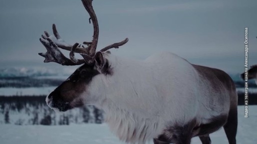 � ��������� ������ ��������� ��������� �������� �������� ������