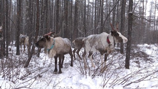 ����������� �������� �������� ������ ����������� � ��������� ������