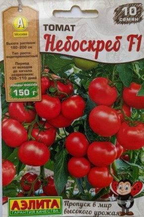 Томат Небоскреб: компактное руководство по выращиванию крупноплодного гибрида