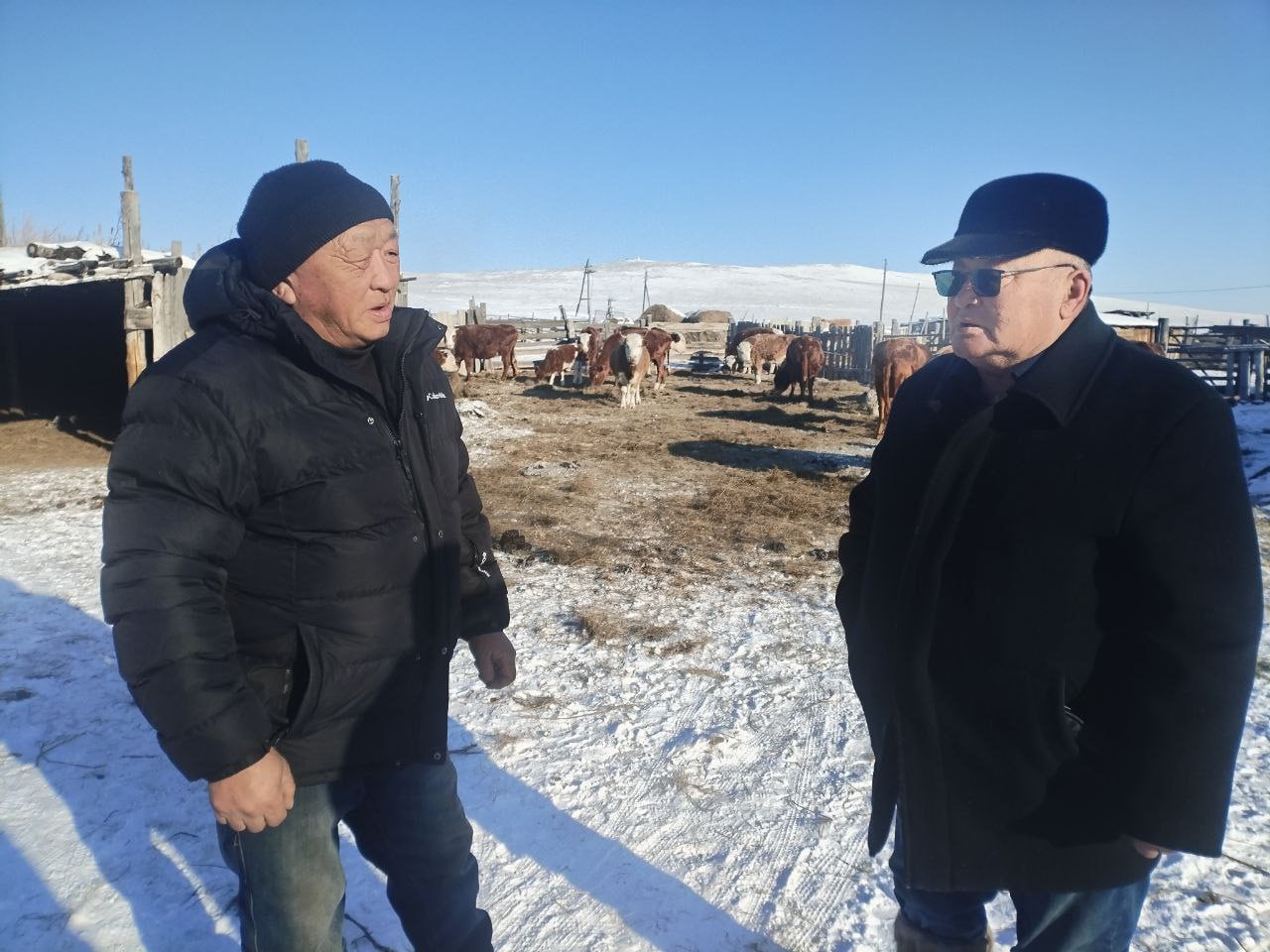 Участник СВО из Могойтуйского округа стал фермером благодаря гранту «Агростартап» Участник СВО из Могойтуйского округа стал фермером благодаря гранту «Агростартап»