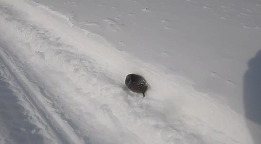 � ��� �� �?. ��� ����� ����� �������� ��������� ��������� ���������� �������� ���� �� ��������� ���������