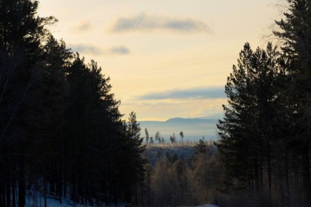 Морозные фото, которые хочется разглядывать