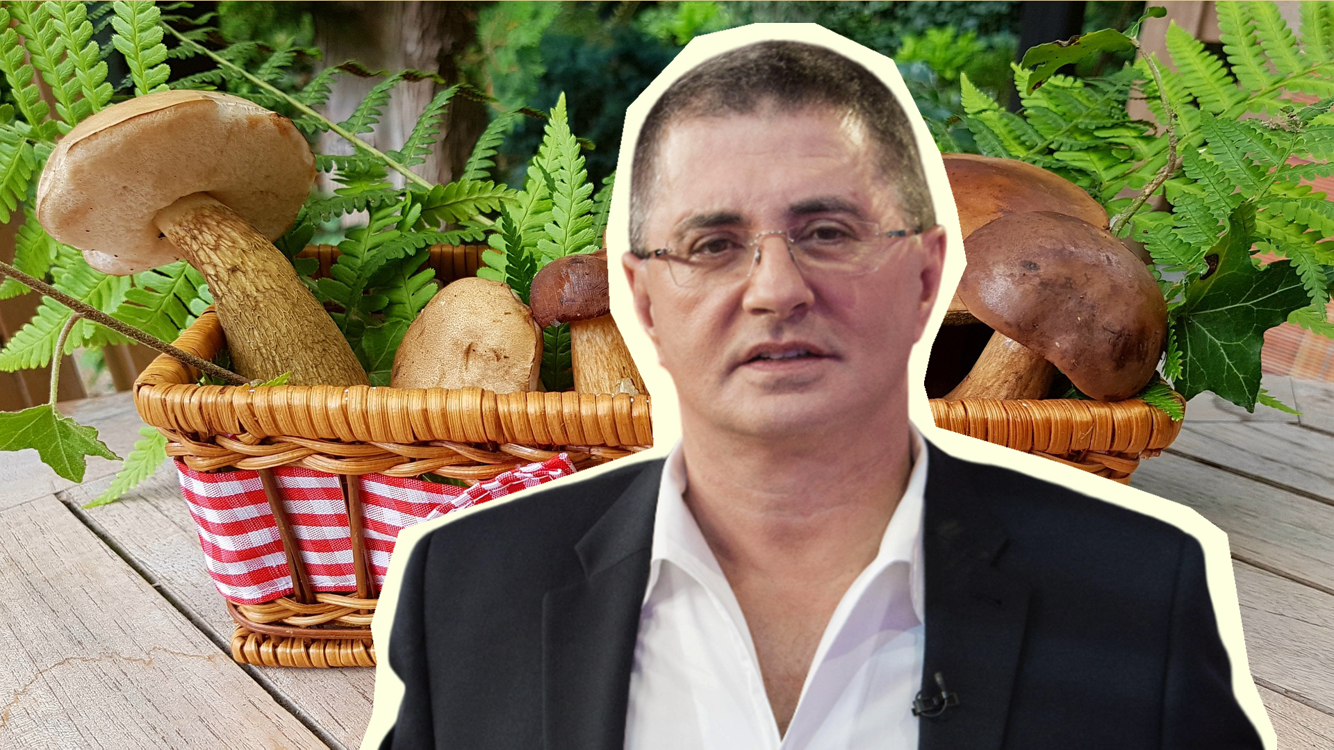 Вот кому грибы можно есть без опаски: Мясников указал лишь на одну группу людей