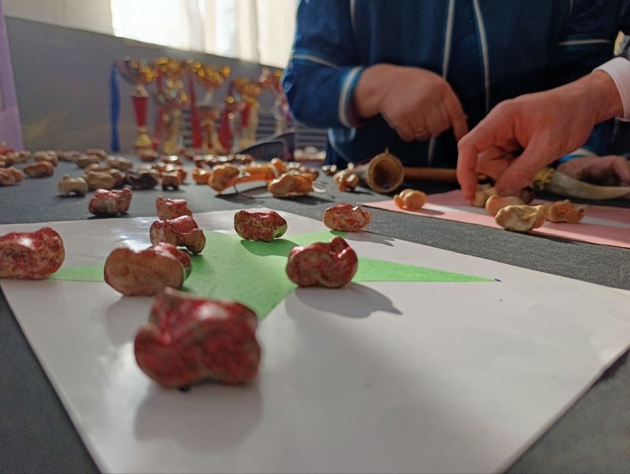 Уникальную выставку организовали в посёлке Агинское Уникальную выставку организовали в посёлке Агинское